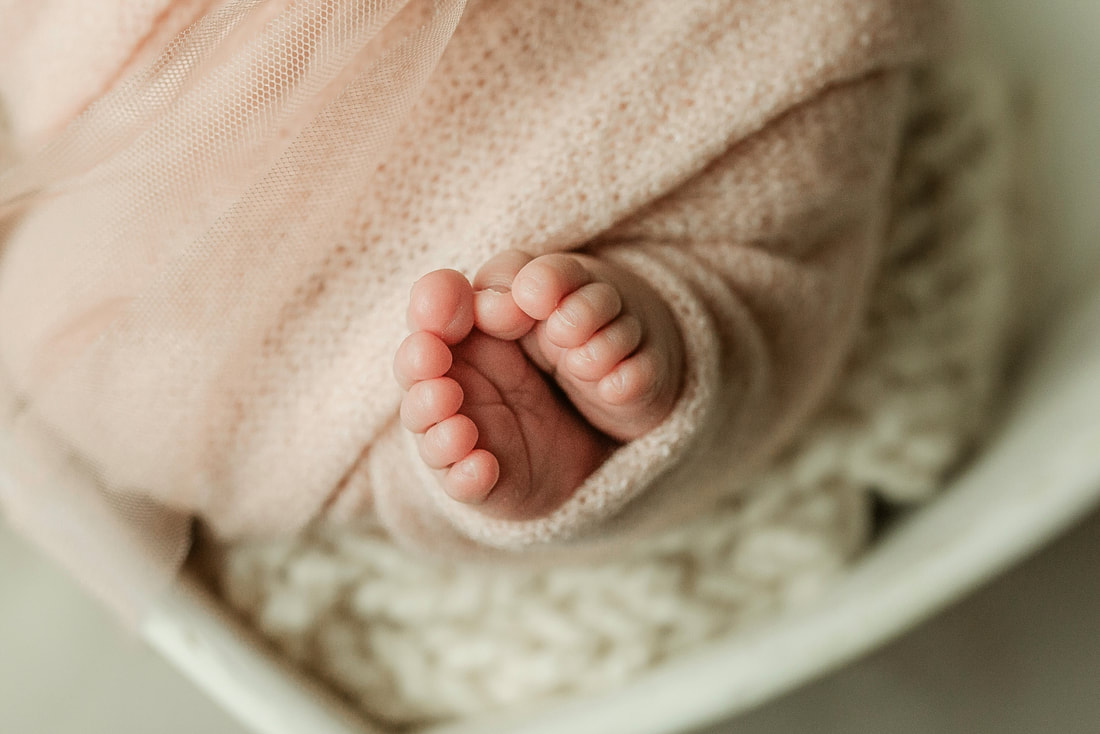 portrait of newborn baby in Memphis, TN